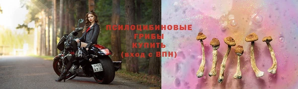 бошки Михайлов