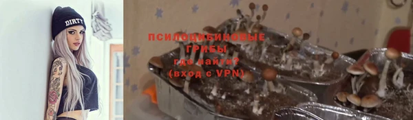 MDMA Premium VHQ Михайловка