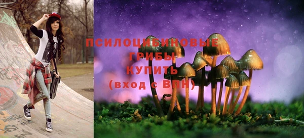 MDMA Premium VHQ Михайловка